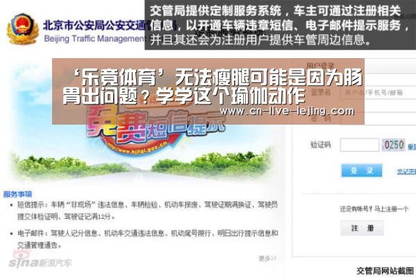 乐竟官方
