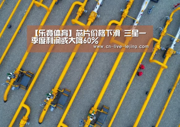 【乐竟体育】芯片价格下滑 三星一季度利润或大降60%(图3) 乐竟体育官方
