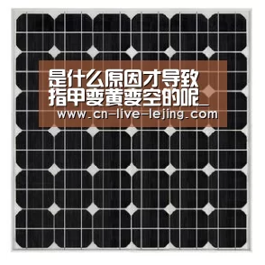 乐竟官方