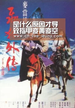 乐竟体育