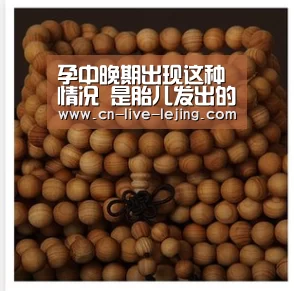 乐竟体育