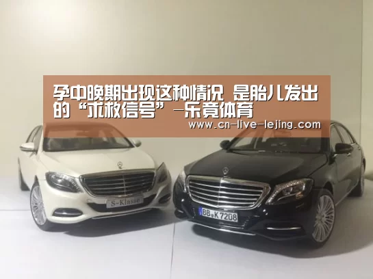 乐竟体育官网