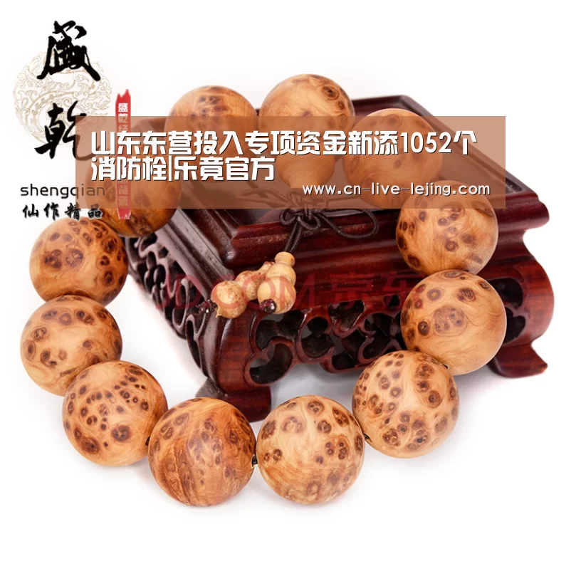 乐竟体育官网