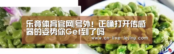 乐竟官方