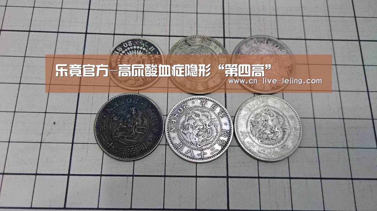 乐竟体育