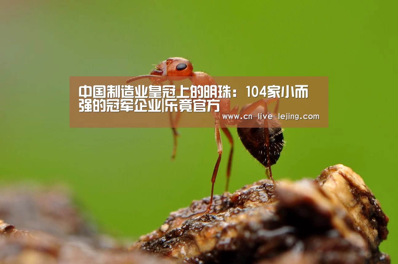 乐竟体育官方