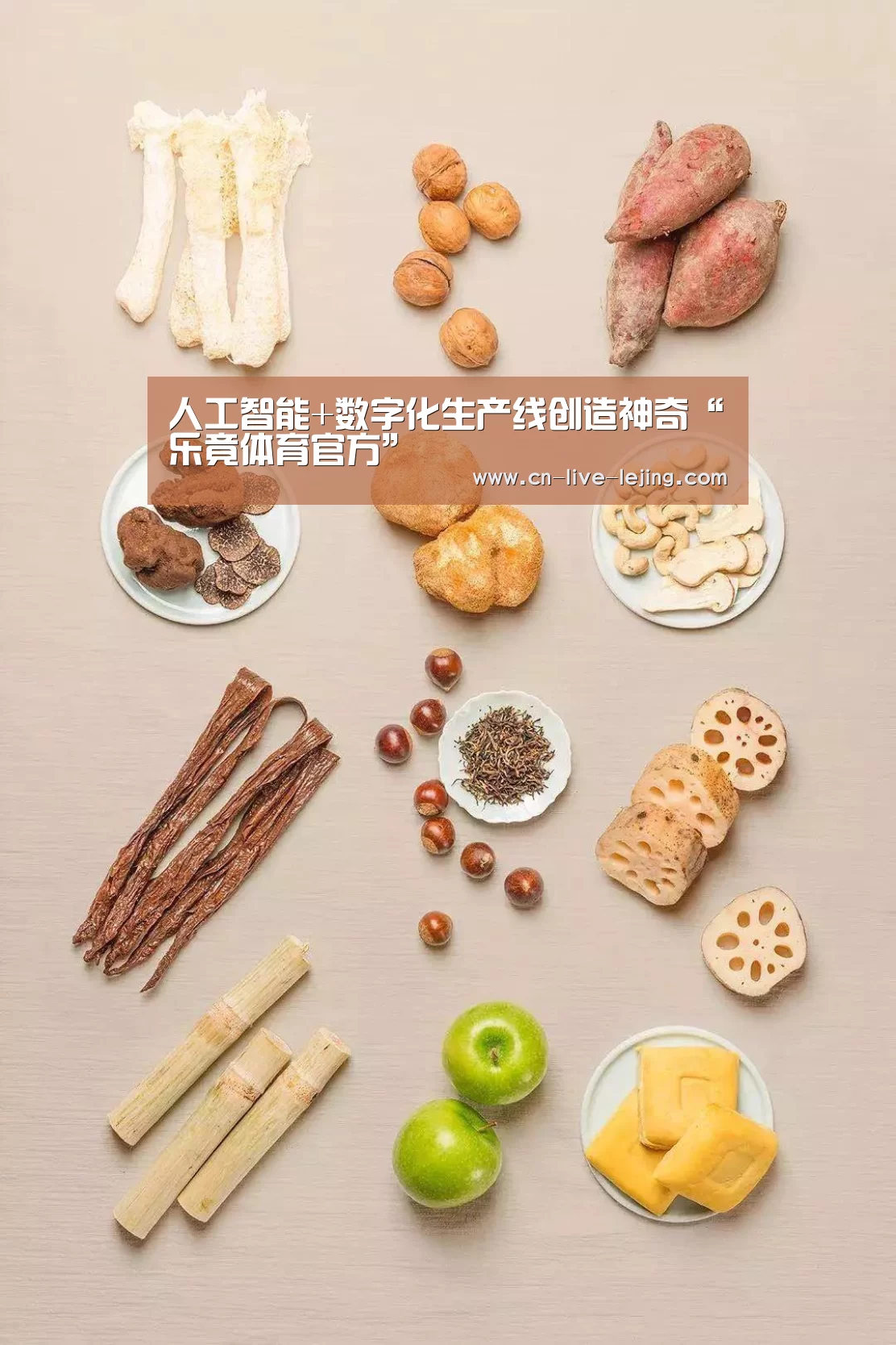 乐竟体育官方